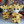 Safari animals