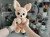 Fennec fox from the series Big-eyed animals (crochet toy)